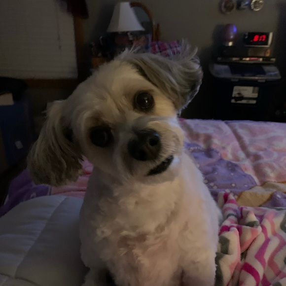 My Best Friend Forever In My Heart 💕 - Picture 7 of 17